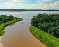 Temporadas Temporadas