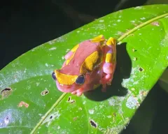 Tipos de tours Tipos de tours